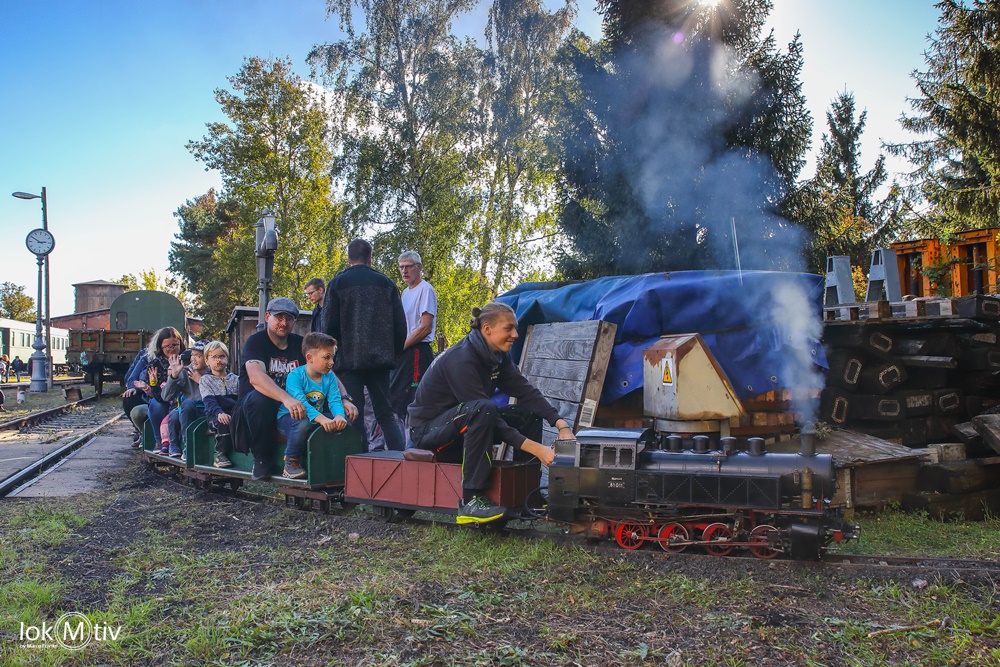 Zu sehen ist die Dampflokomotive 81 011, allerdings in der Größe einer Personen tragenden Gartenbahn. Am Hacken einen Zug mit begeisterten Kindern und Eltern.