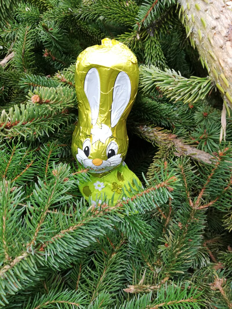 18.04.25 "Ostern und Western" - Dampfzug, Westernstadt, Kleinbahn und viele Überraschungen – Bild 6